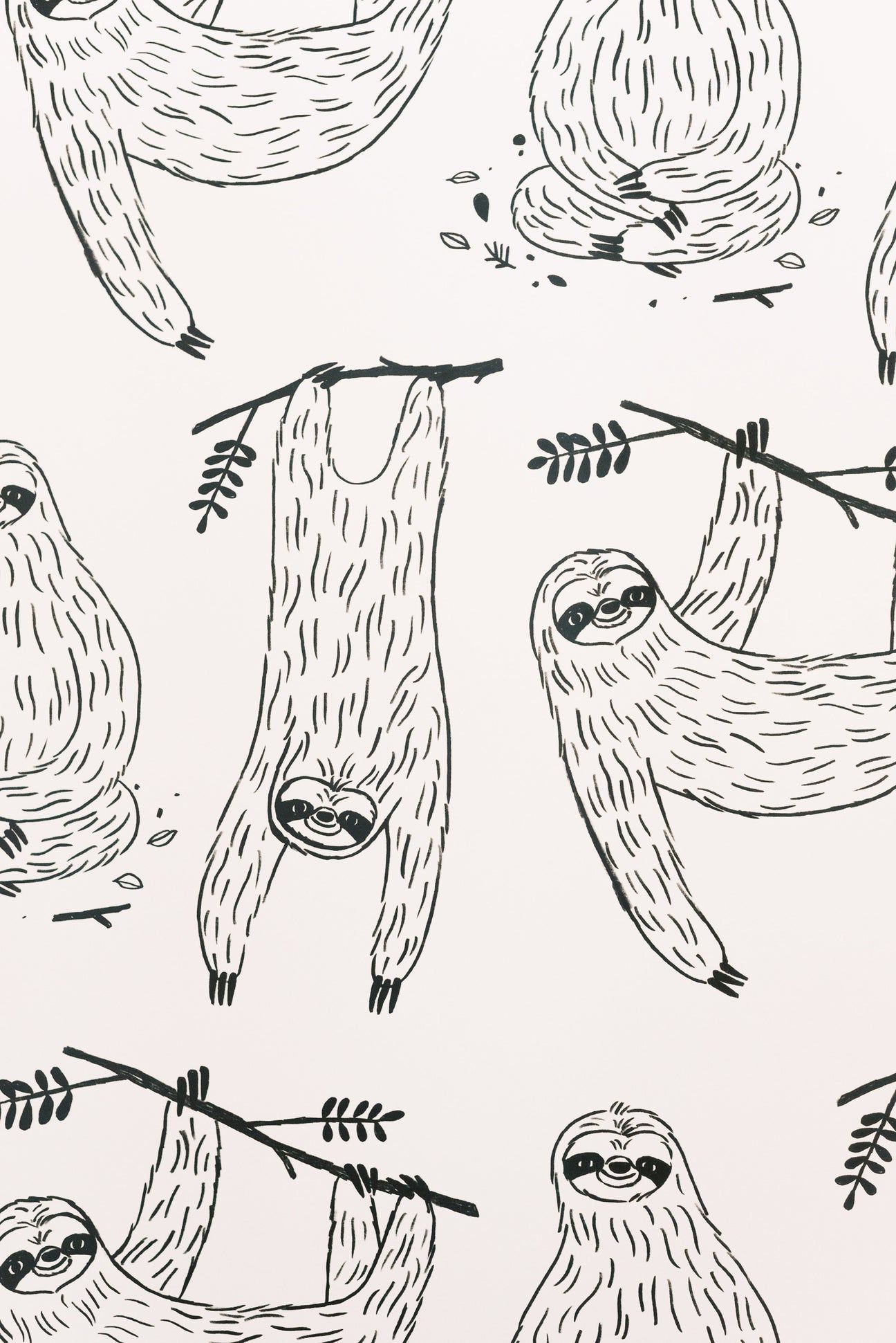 cute sloth backgrounds 0016