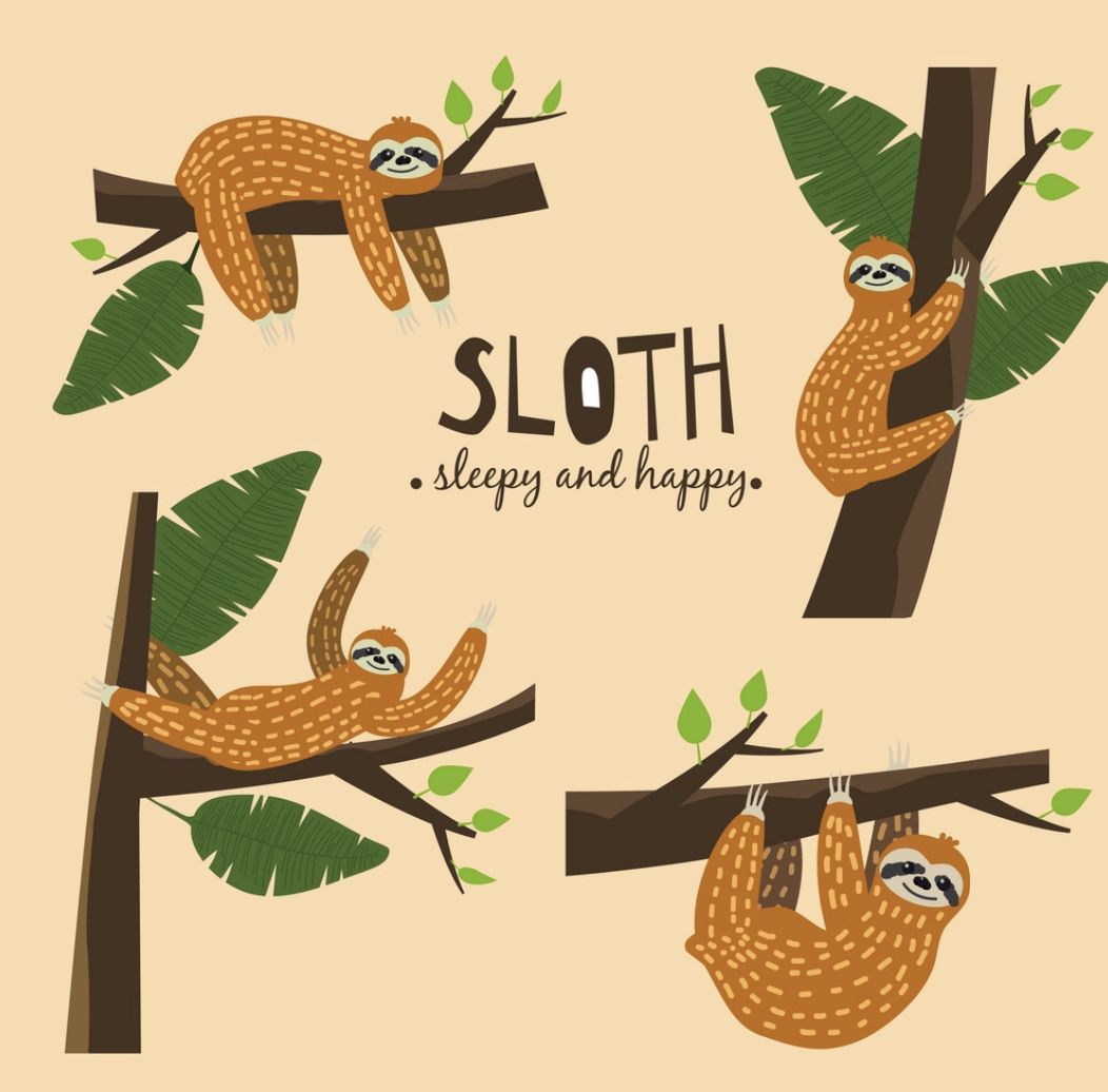 cute sloth backgrounds 0036