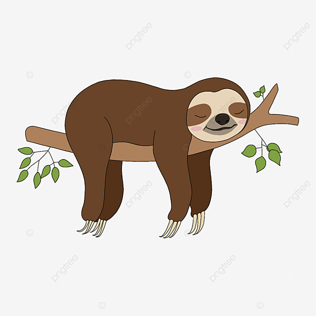 cute sloth backgrounds 0038