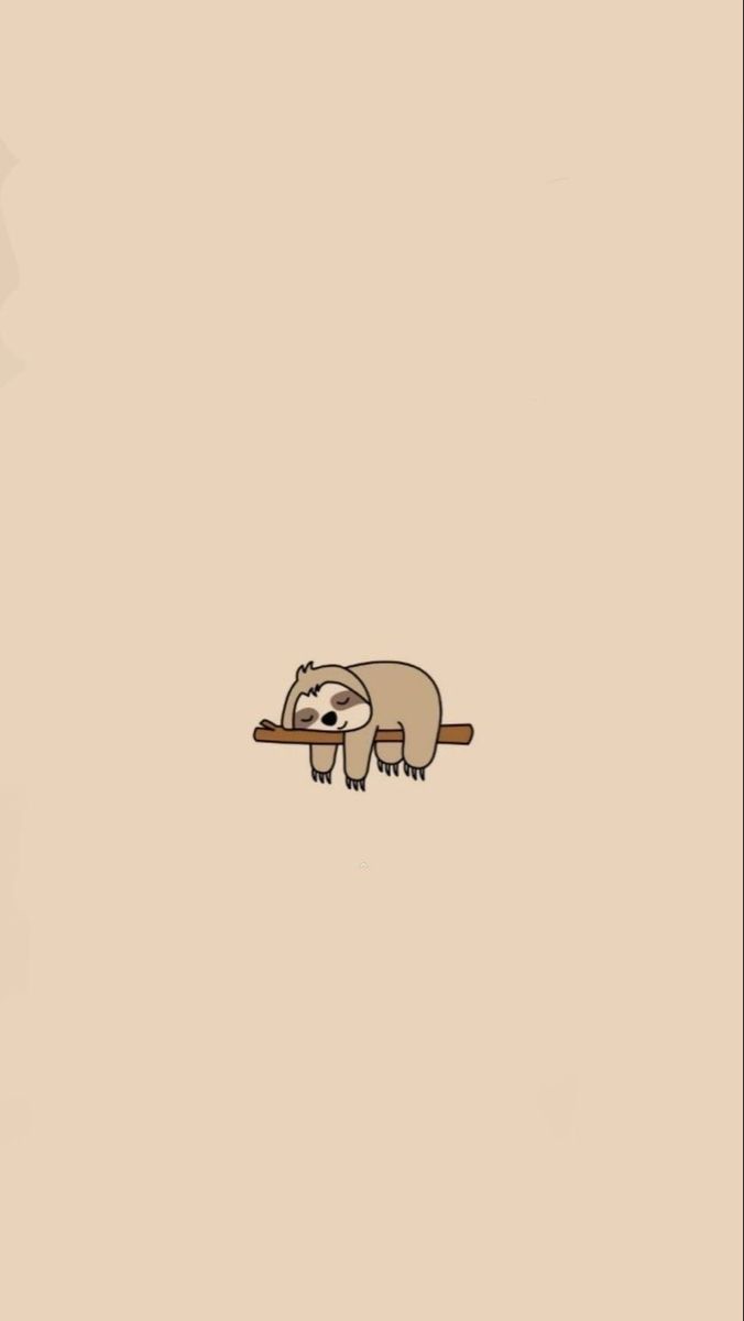 cute sloth backgrounds 0050