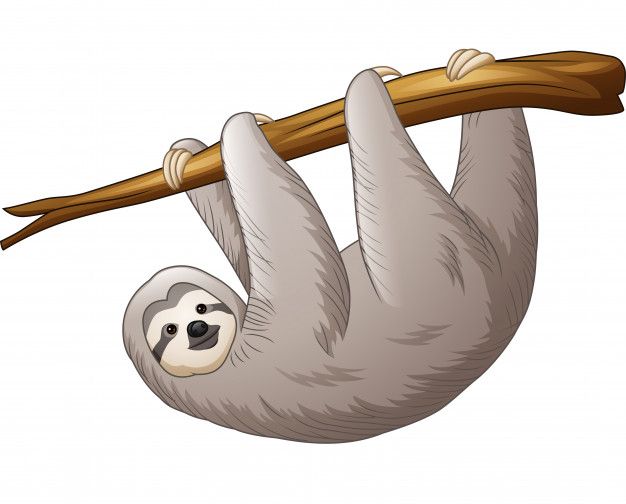 cute sloth backgrounds 0062