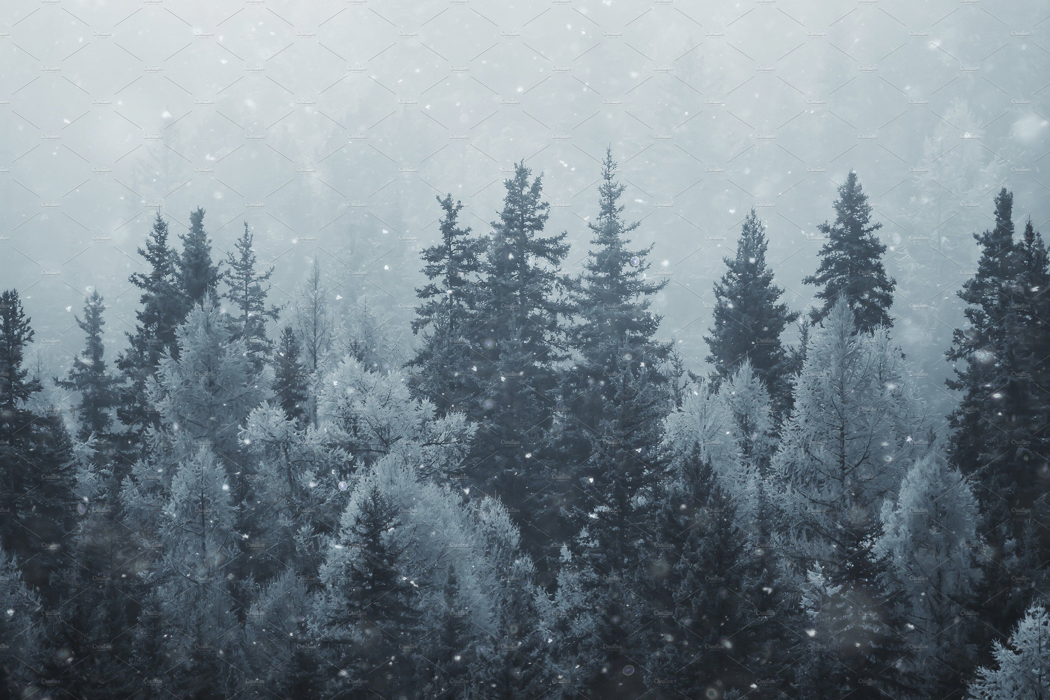 cute snow background 0025