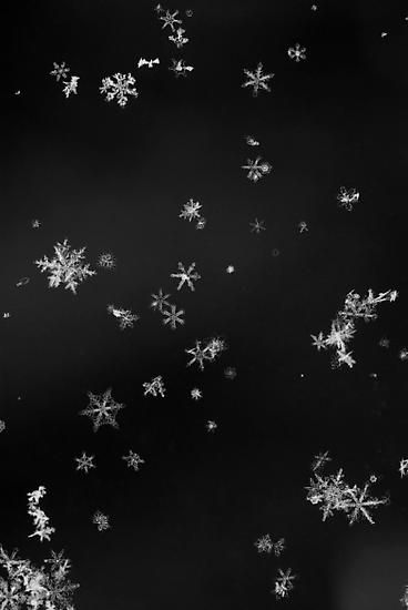 cute snow background 0070