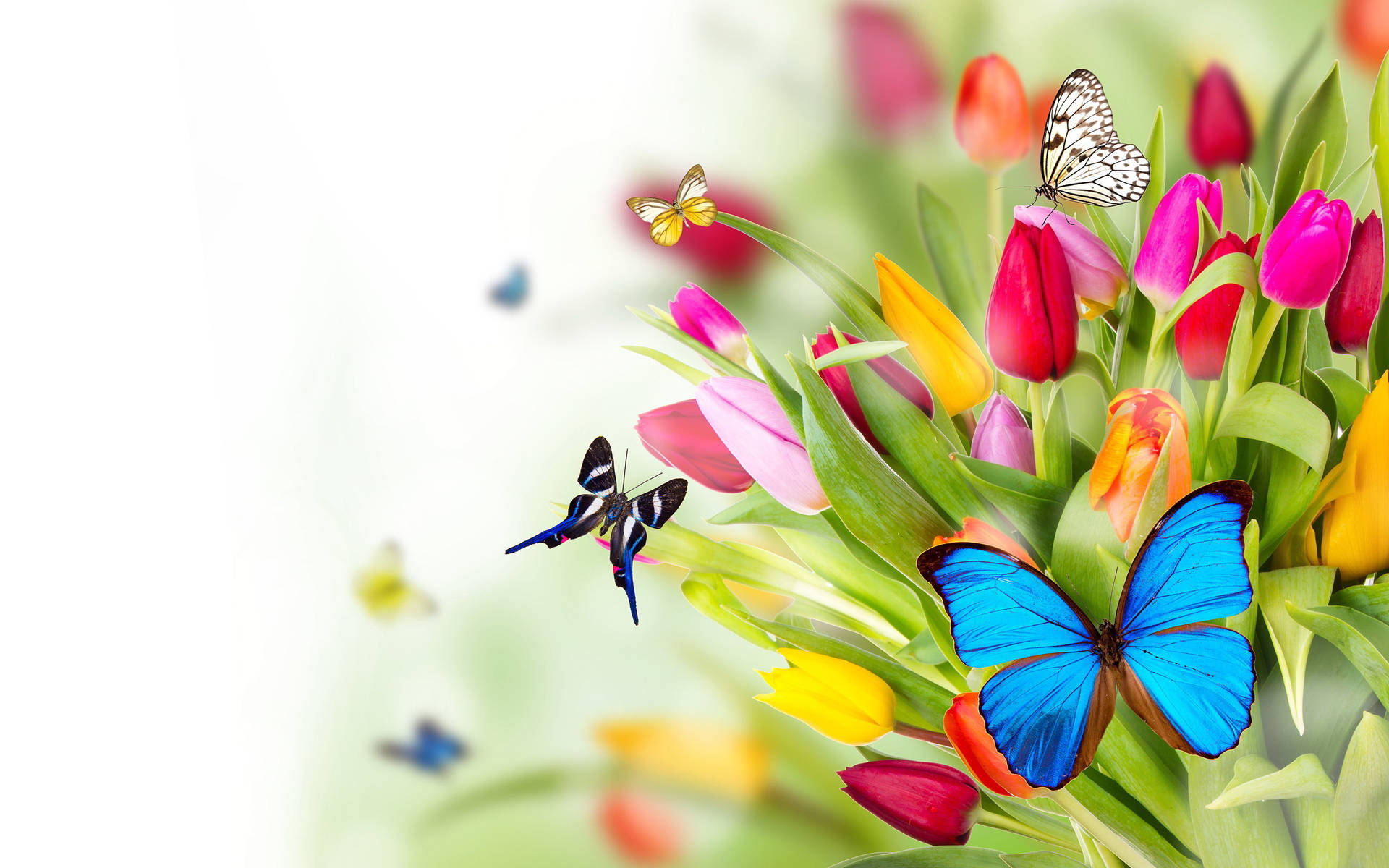 cute spring backgrounds 0031