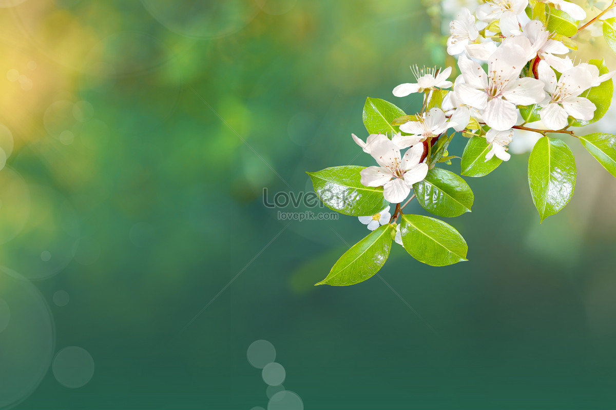 cute spring backgrounds 0085