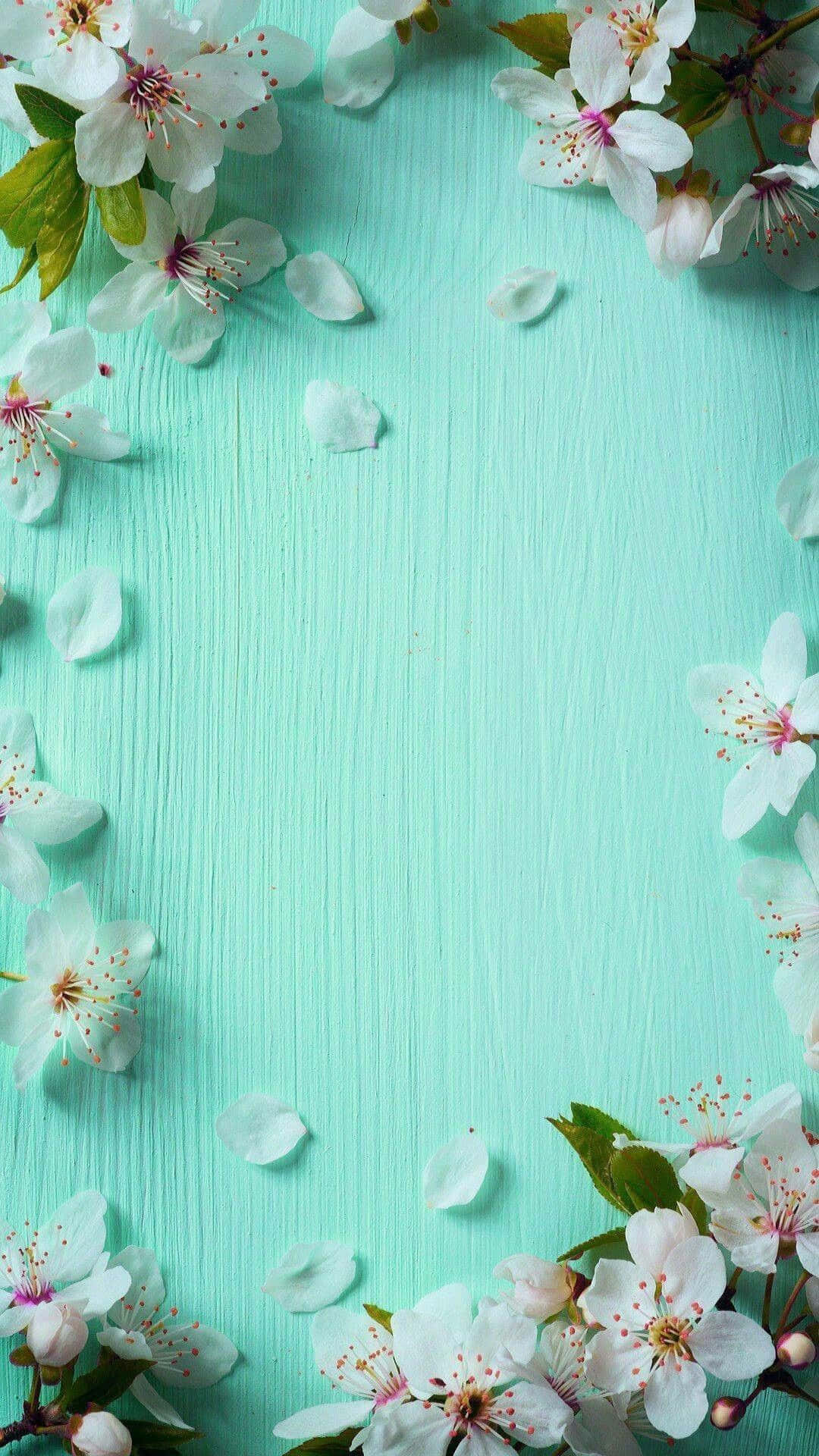 cute spring backgrounds 0086