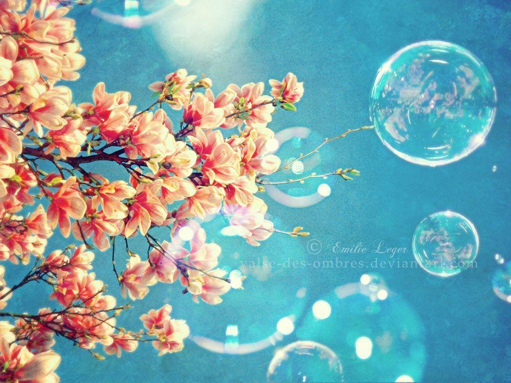 cute spring backgrounds 0094