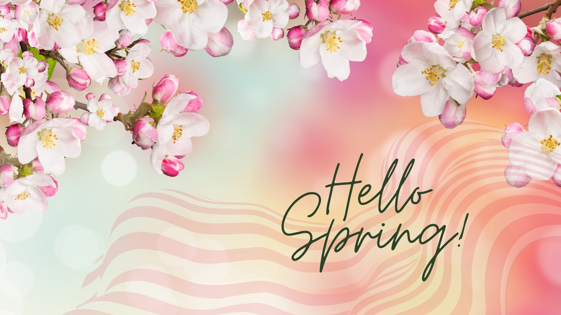 cute spring backgrounds 0097