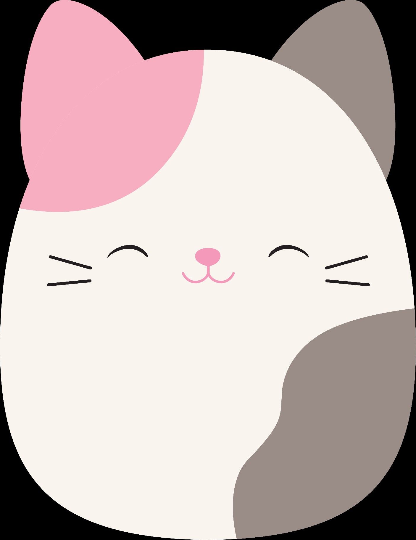 cute Squishmallow backgrounds 0032