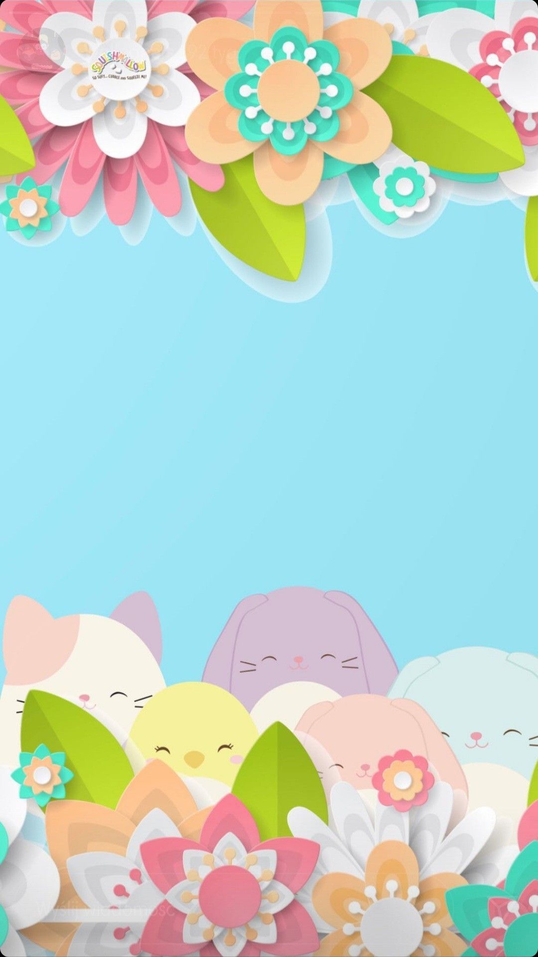 cute Squishmallow backgrounds 0065