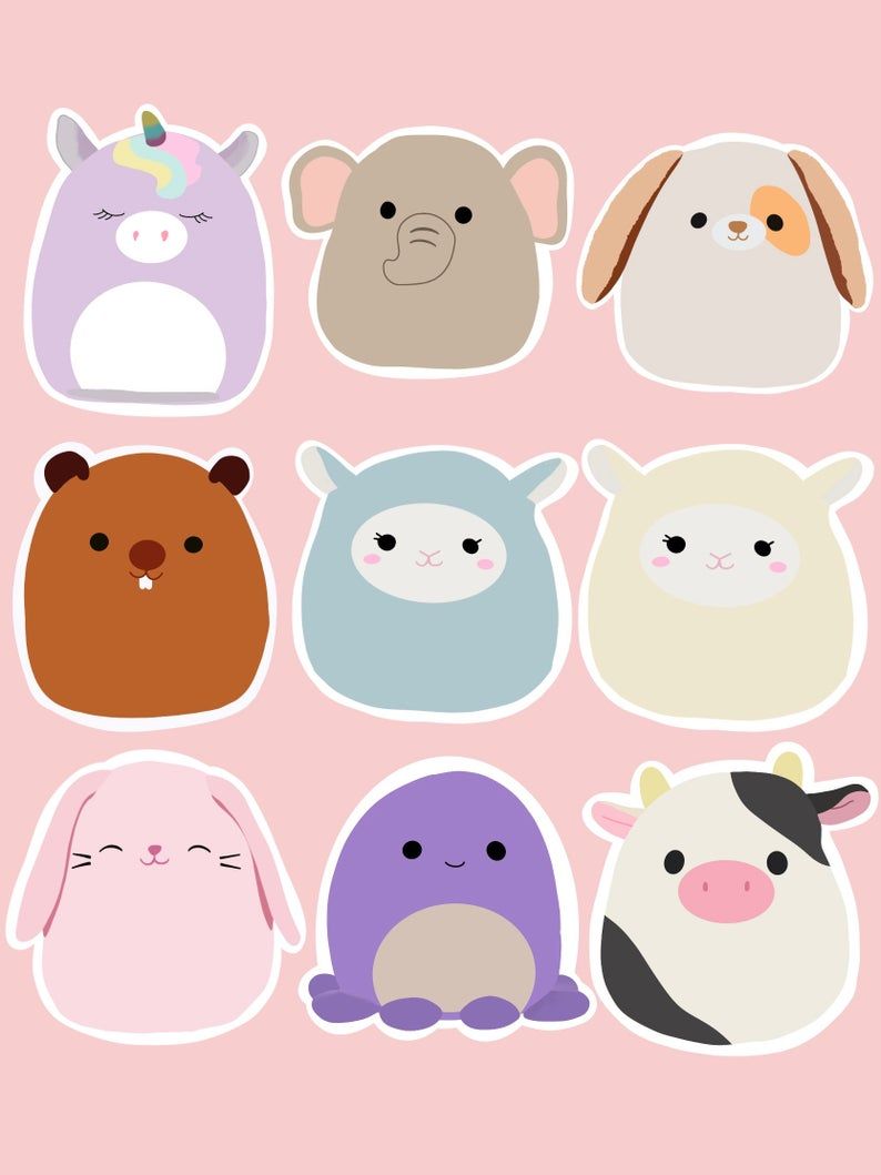 cute Squishmallow backgrounds 0098