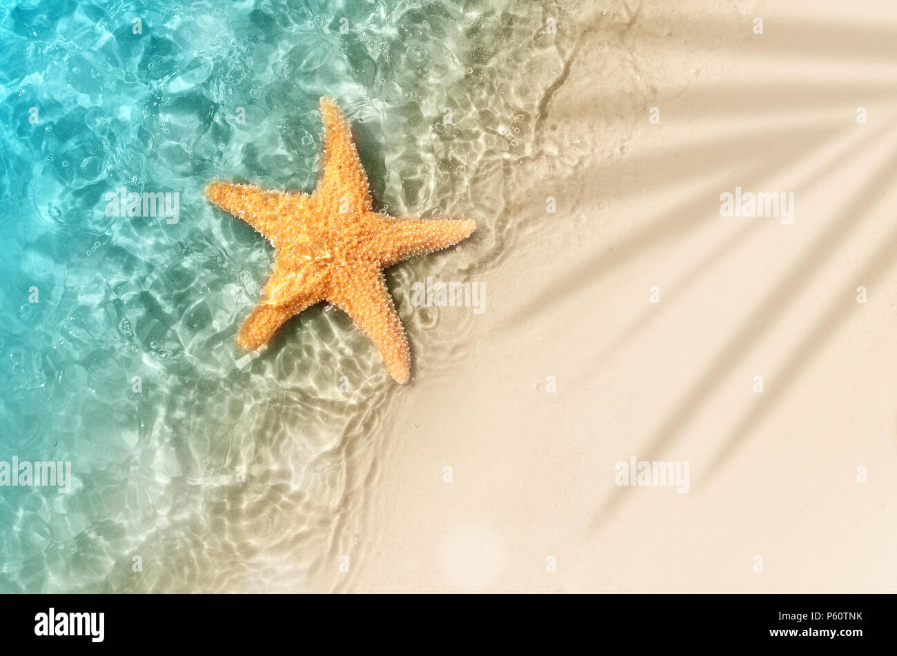 cute summer backgrounds 0075