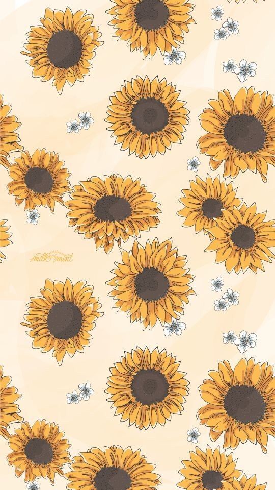 cute sunflower backgrounds 0015