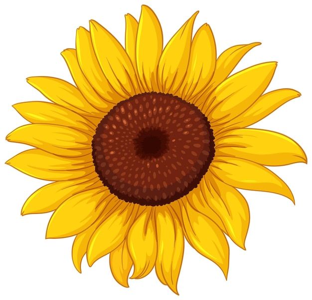 cute sunflower backgrounds 0016