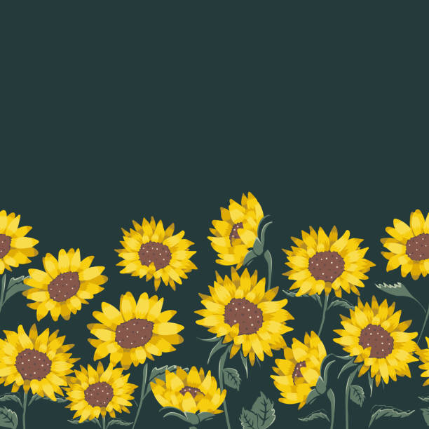 cute sunflower backgrounds 0018