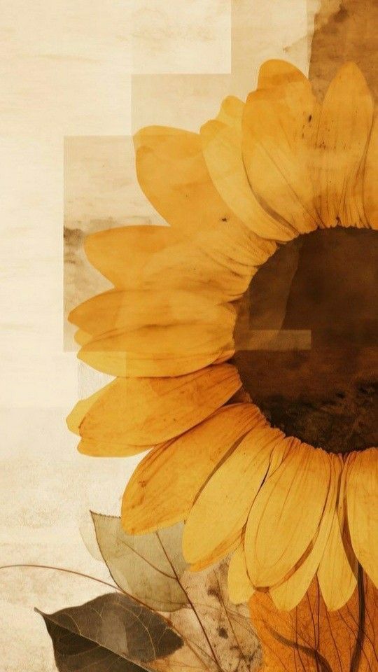 cute sunflower backgrounds 0019