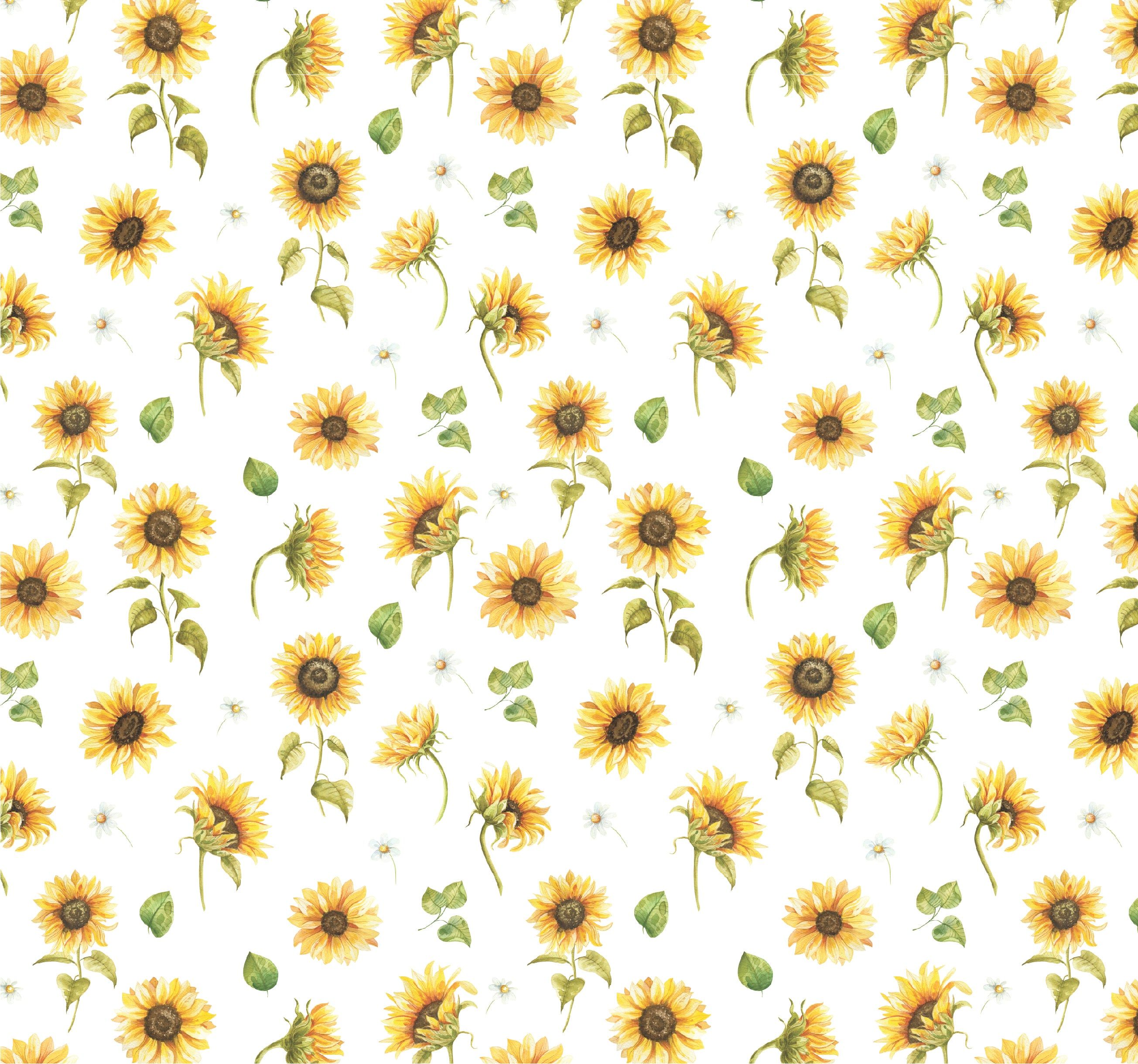 cute sunflower backgrounds 0020