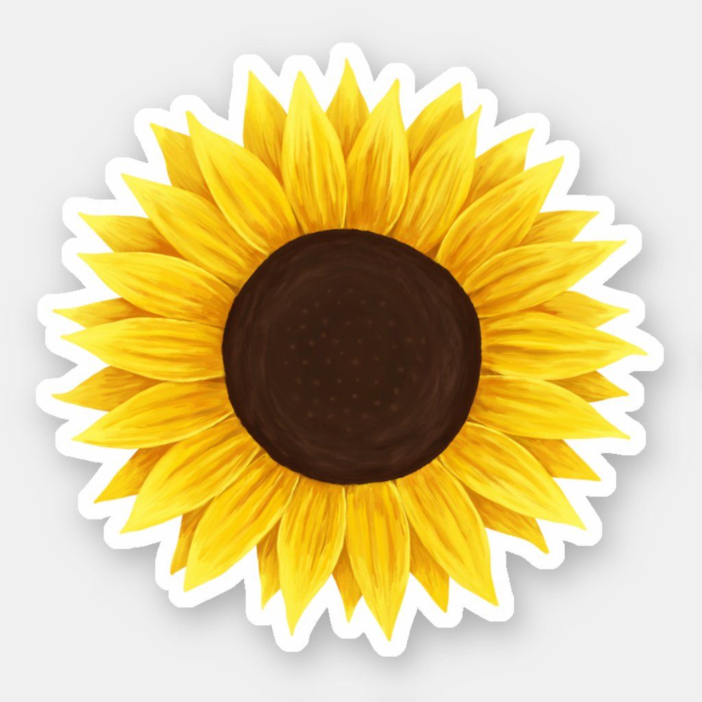 cute sunflower backgrounds 0034