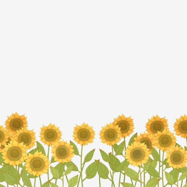 cute sunflower backgrounds 0046