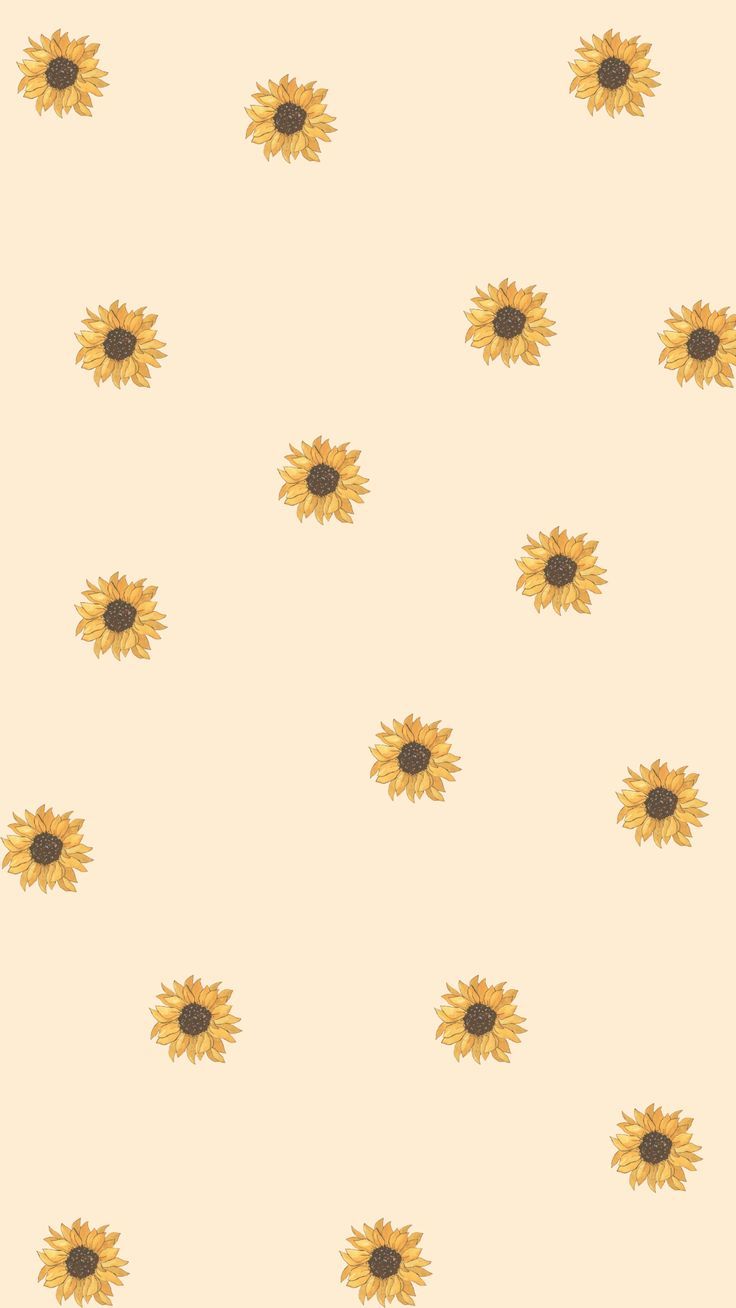 cute sunflower backgrounds 0051