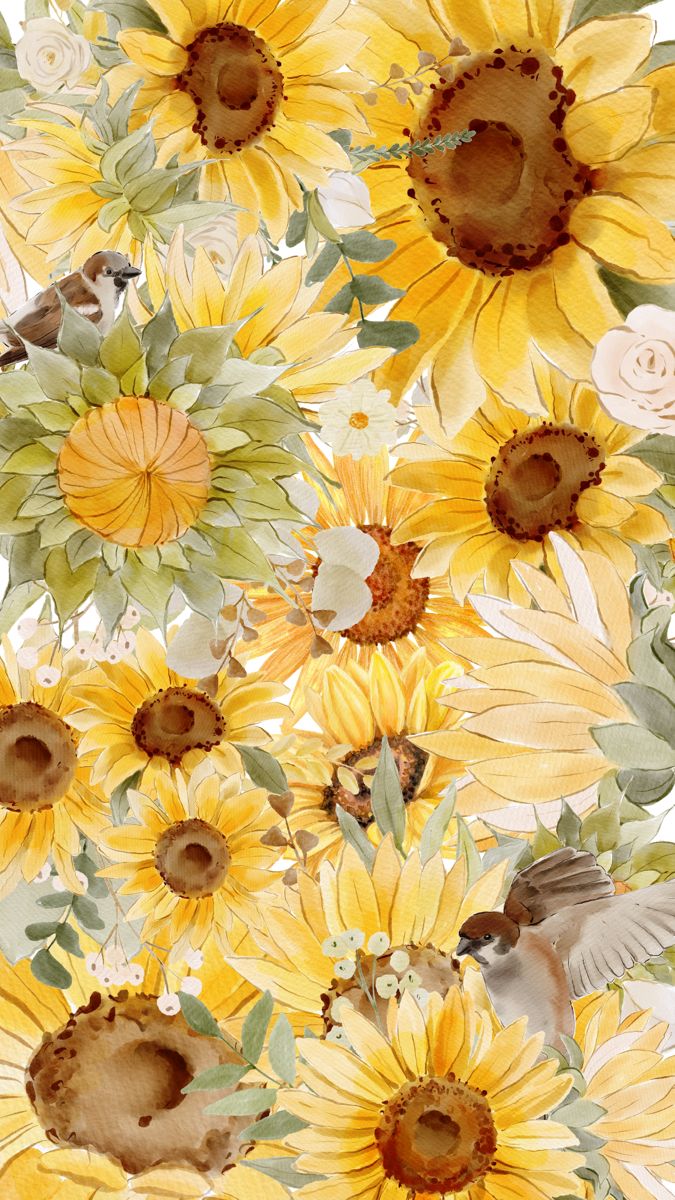 cute sunflower backgrounds 0072