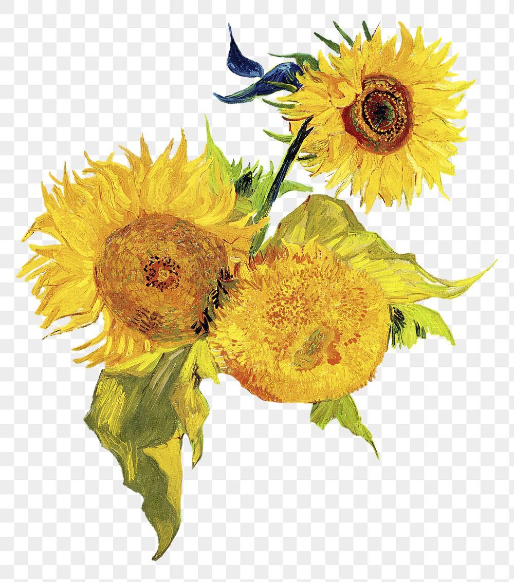 cute sunflower backgrounds 0074