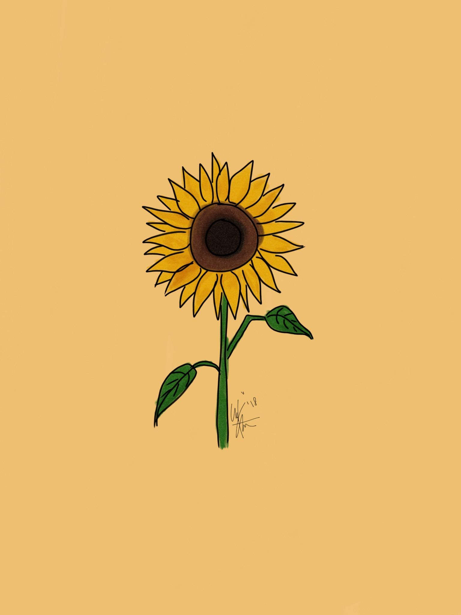 cute sunflower backgrounds 0075