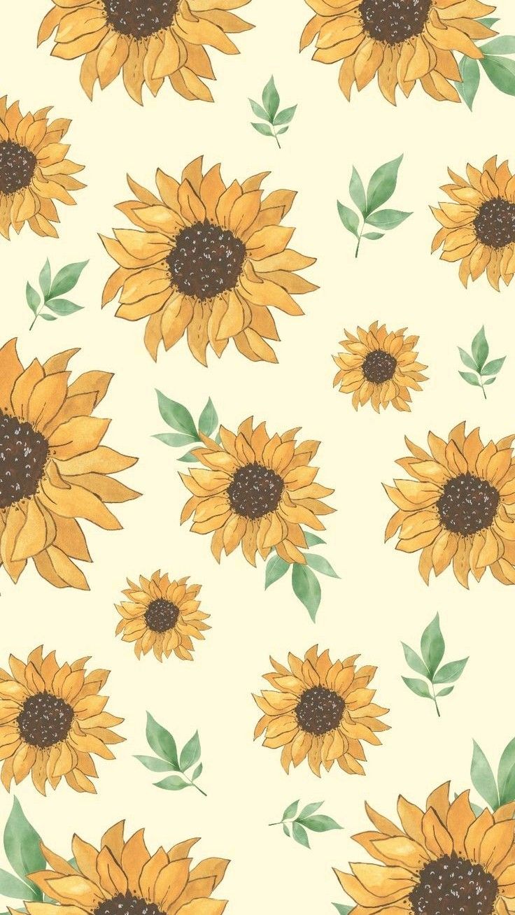 cute sunflower backgrounds 0085