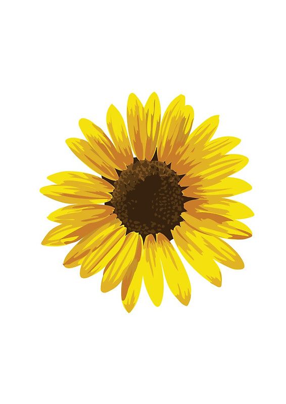 cute sunflower backgrounds 0088