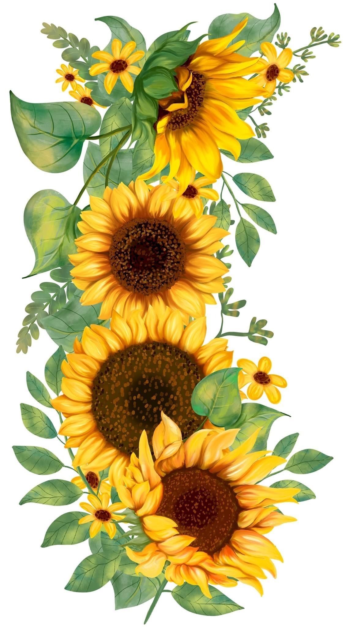 cute sunflower backgrounds 0095