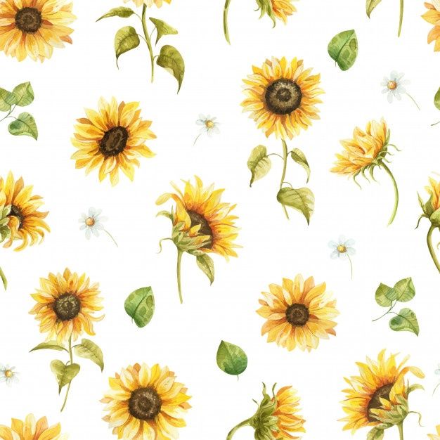 cute sunflower backgrounds 0096