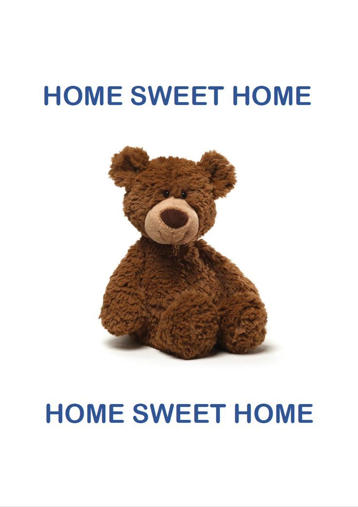 cute Teddy Bear backgrounds 0040