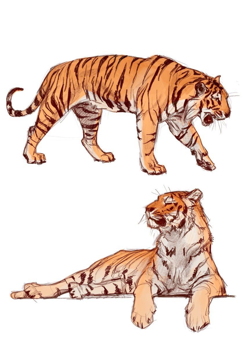 cute tiger backgrounds 0039