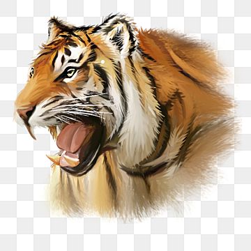 cute tiger backgrounds 0074