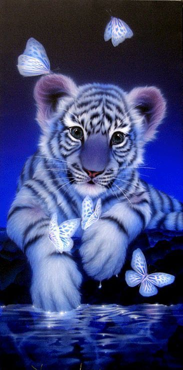 cute tiger backgrounds 0081