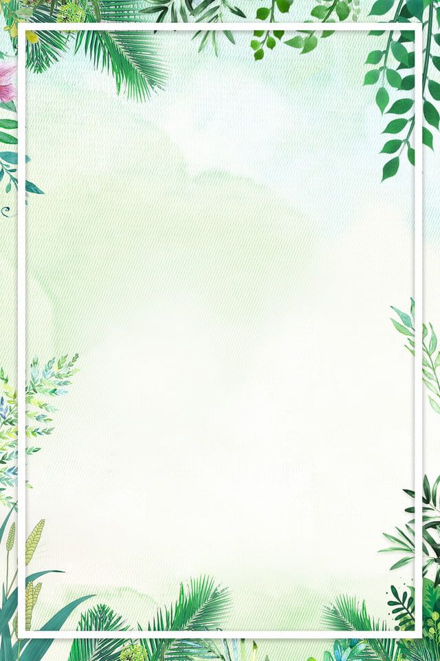 cute tropical backgrounds 0011