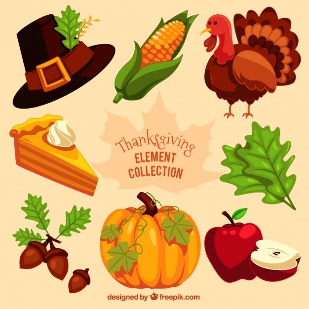 cute turkey backgrounds 0039