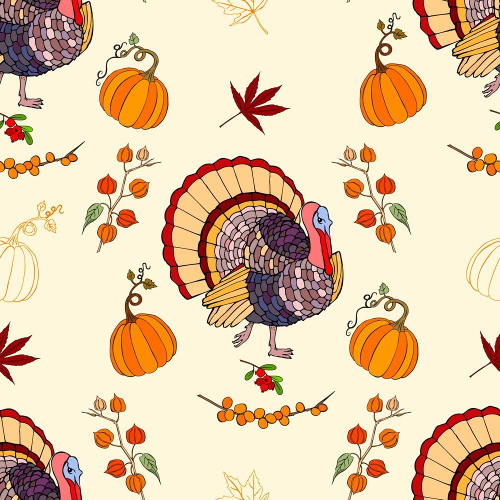 cute turkey backgrounds 0047