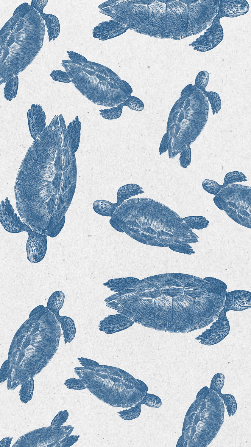 cute turtle backgrounds 0040