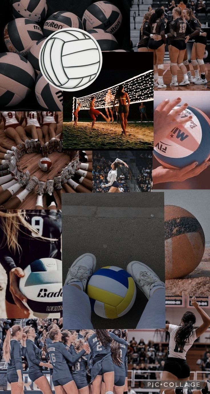 cute volleyball backgrounds 0014