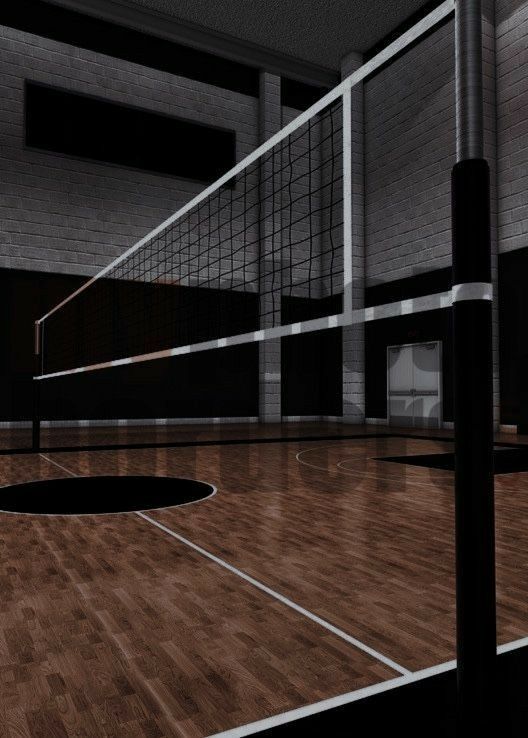 cute volleyball backgrounds 0055