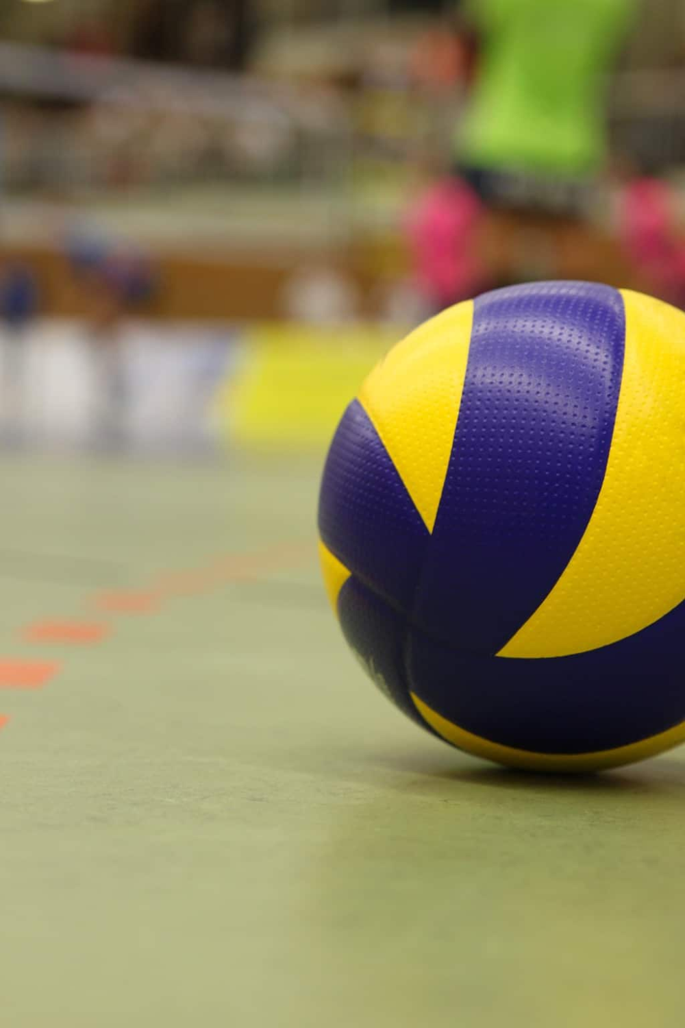 cute volleyball backgrounds 0073