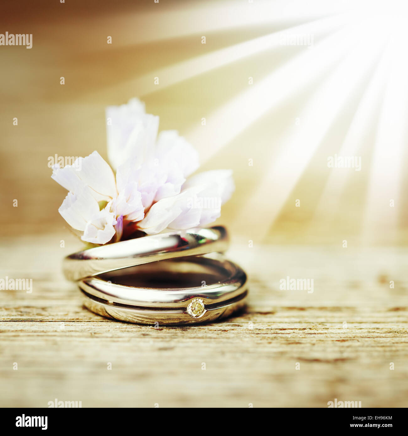 cute Wedding backgrounds 0064