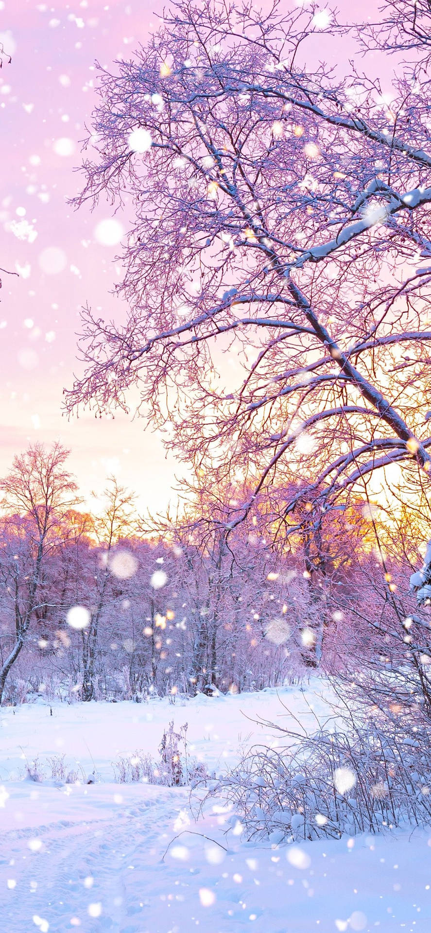 cute winter backgrounds for desktop