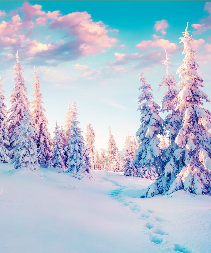 cute winter backgrounds 0020