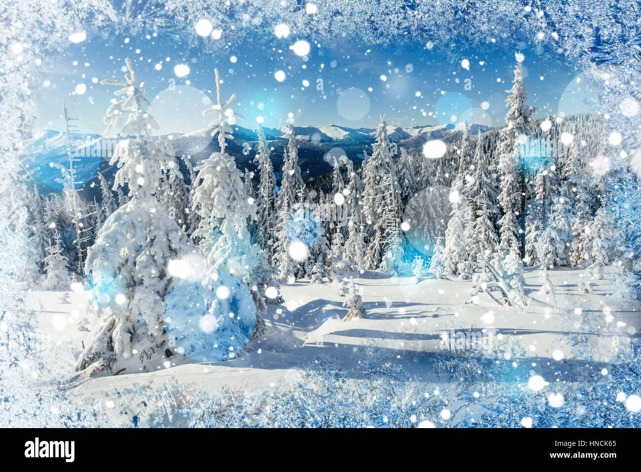 cute winter backgrounds 0027