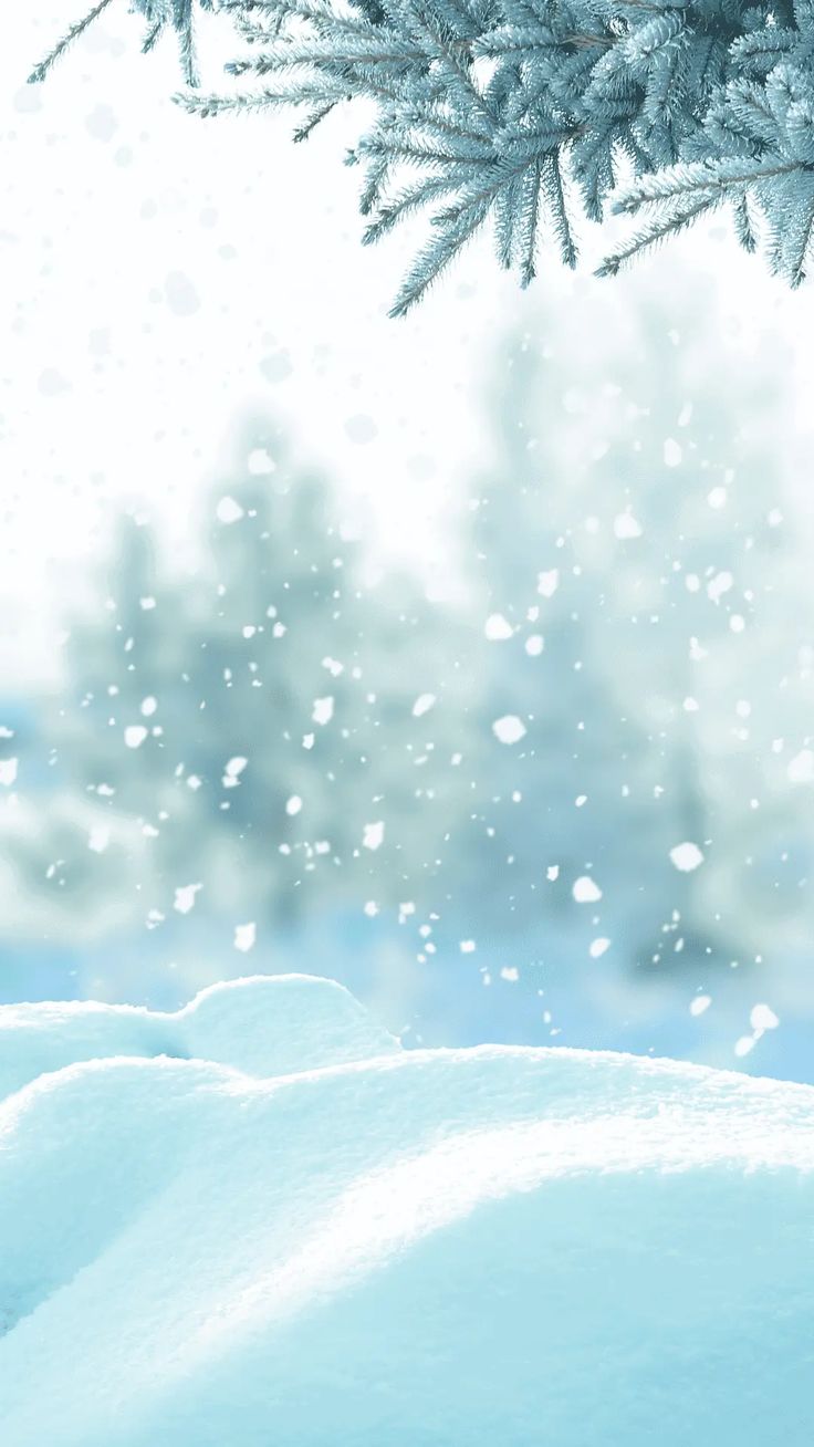 cute winter backgrounds 0048