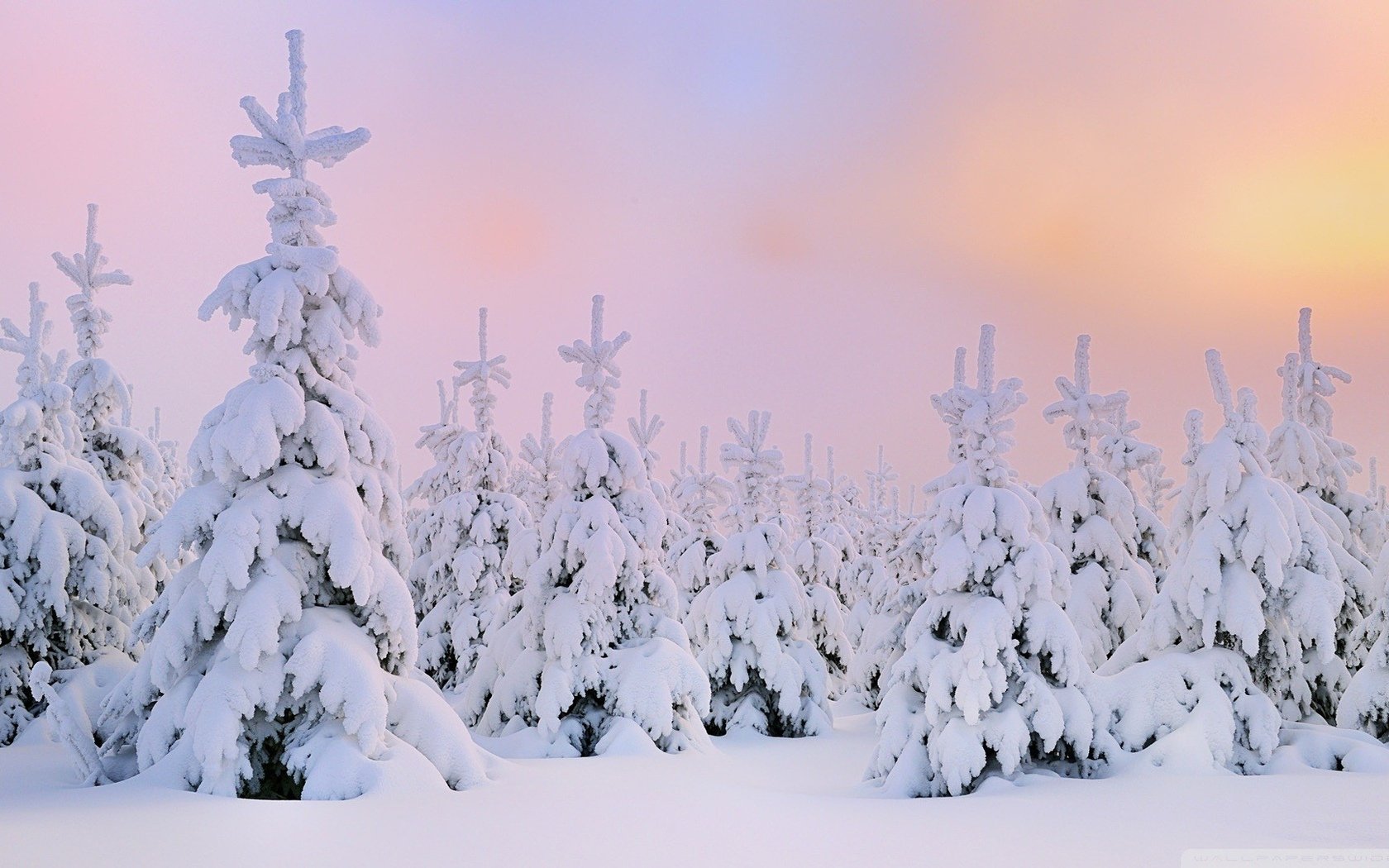 cute winter backgrounds 0061