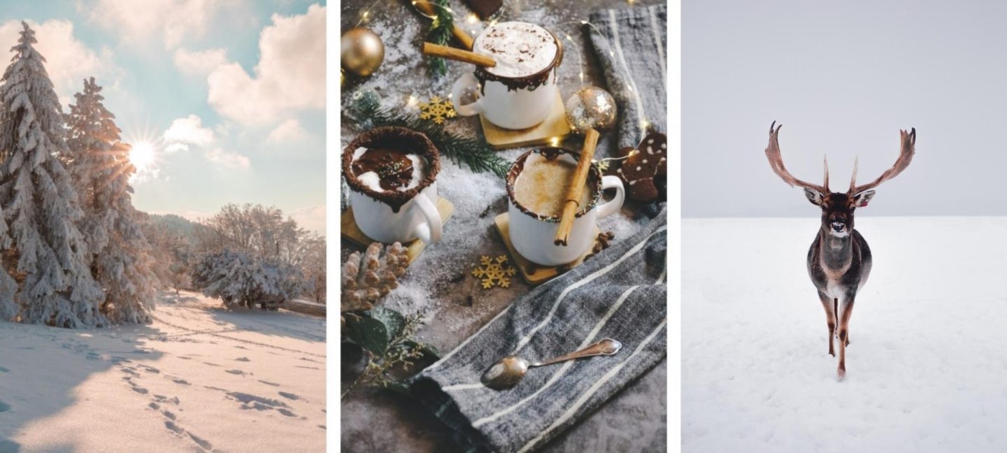 cute winter backgrounds 0072