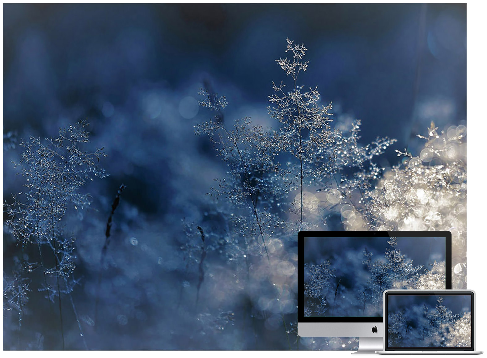 cute winter backgrounds 0076